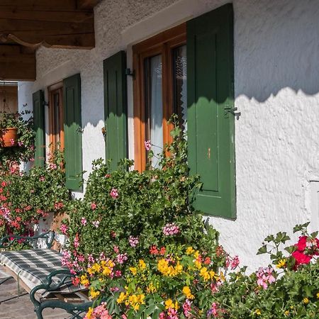 Ferienwohnung Zugspitze غرينو المظهر الخارجي الصورة