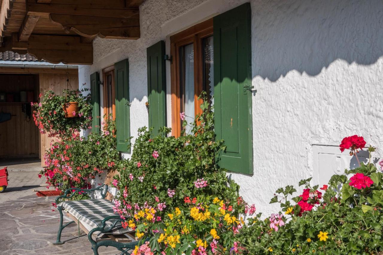 Ferienwohnung Zugspitze غرينو المظهر الخارجي الصورة